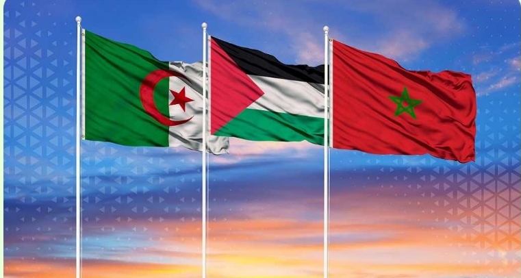  ¿Por qué Argelia apoya a Palestina y a los movimientos de descolonización mientras Marruecos se alinea detrás de Israel?