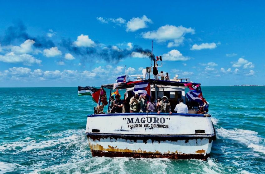  Relatos de la Flotilla Granma 2.0: todo lo que no es imperio debe ser humanidad